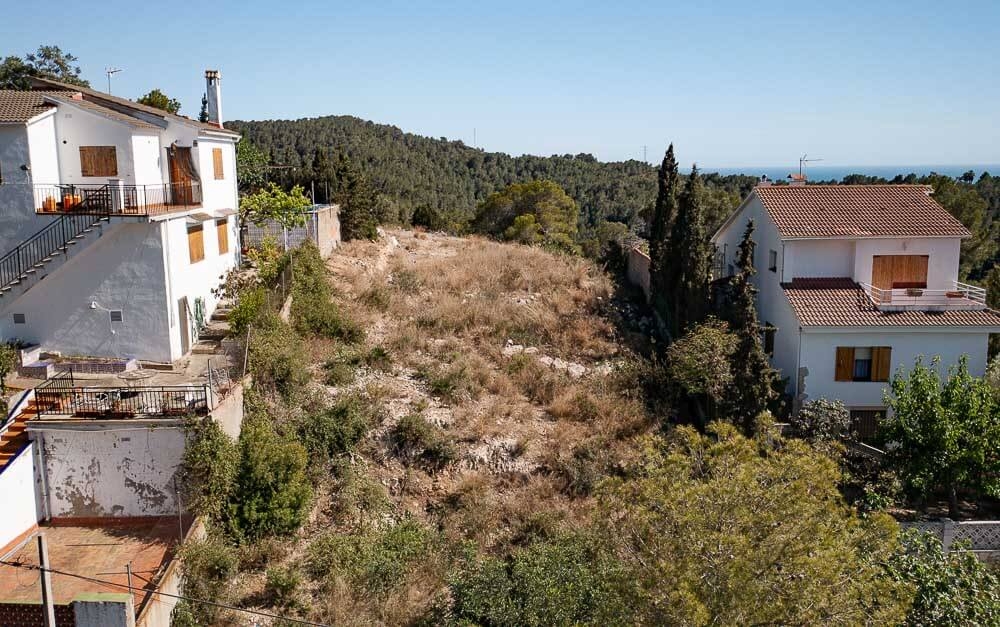 Plot in Quintmar