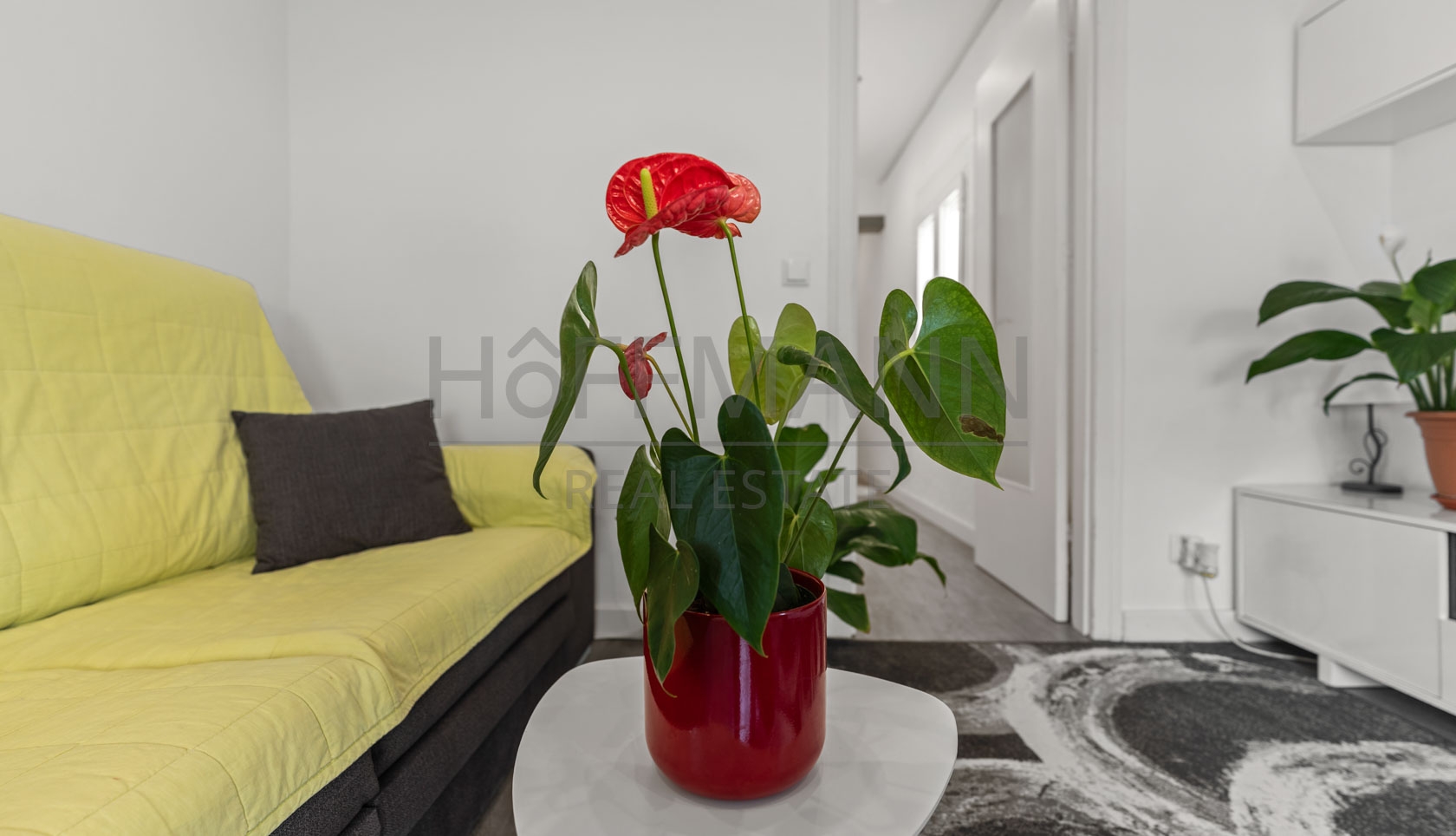 Move in or rent out – renovated investment property with charm