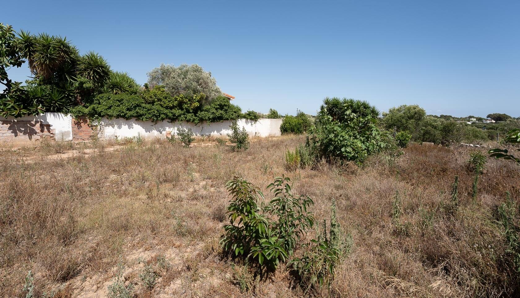 Plot in Vilanova i la Geltrú