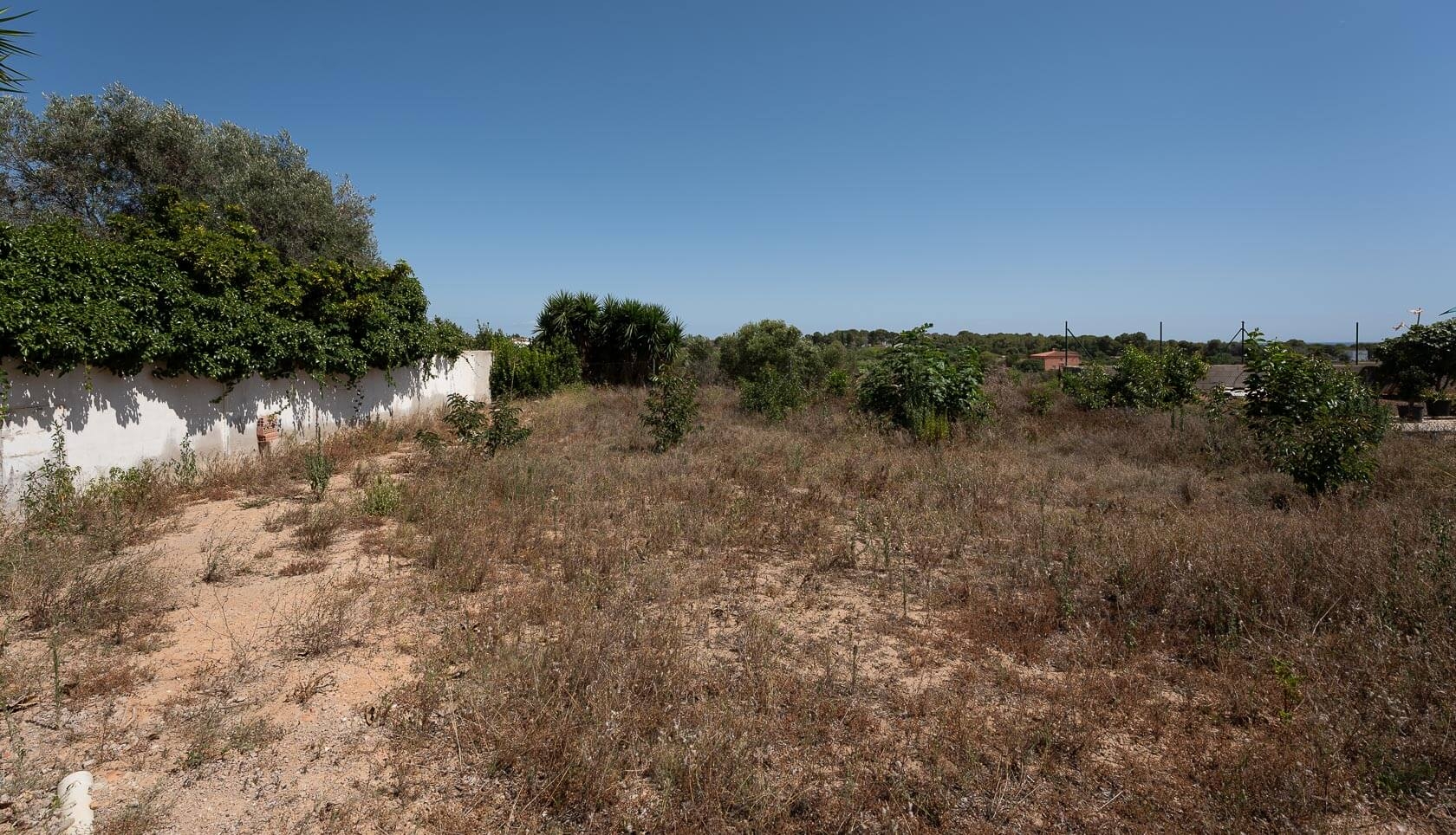 Plot in Vilanova i la Geltrú
