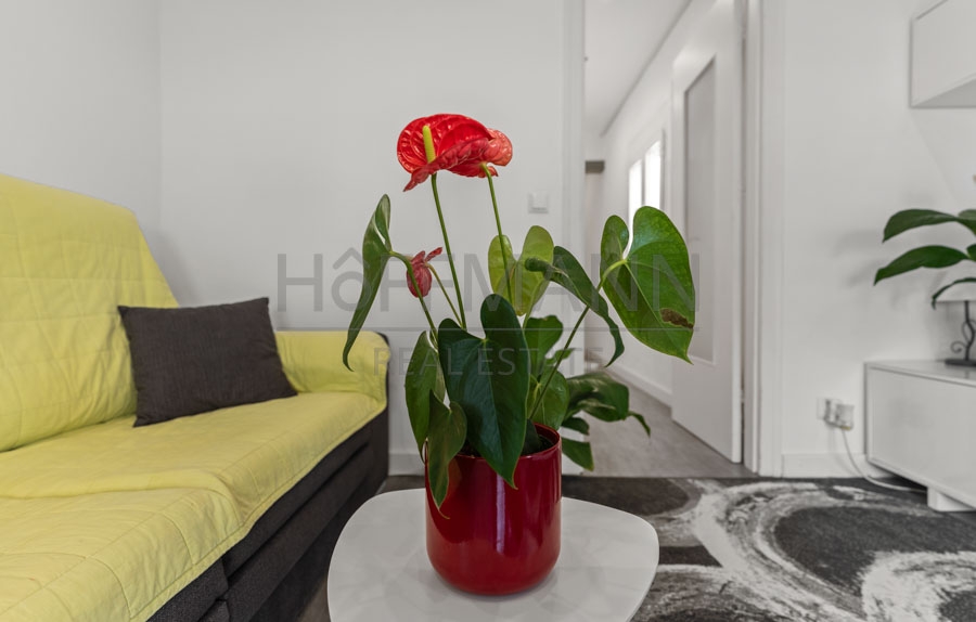 Move in or rent out – renovated investment property with charm