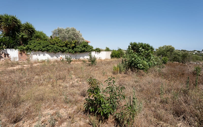 Plot in Vilanova i la Geltrú